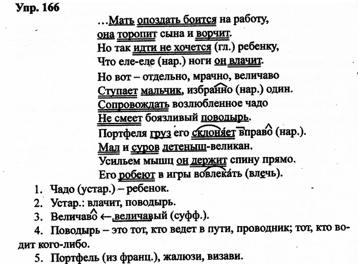 Русский язык, 11 класс, Дейкина, Пахнова, 2009, задание: 166