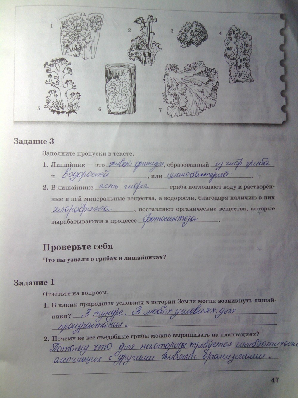 Рассмотрите рисунок 143 учебника запишите изменения происходящие