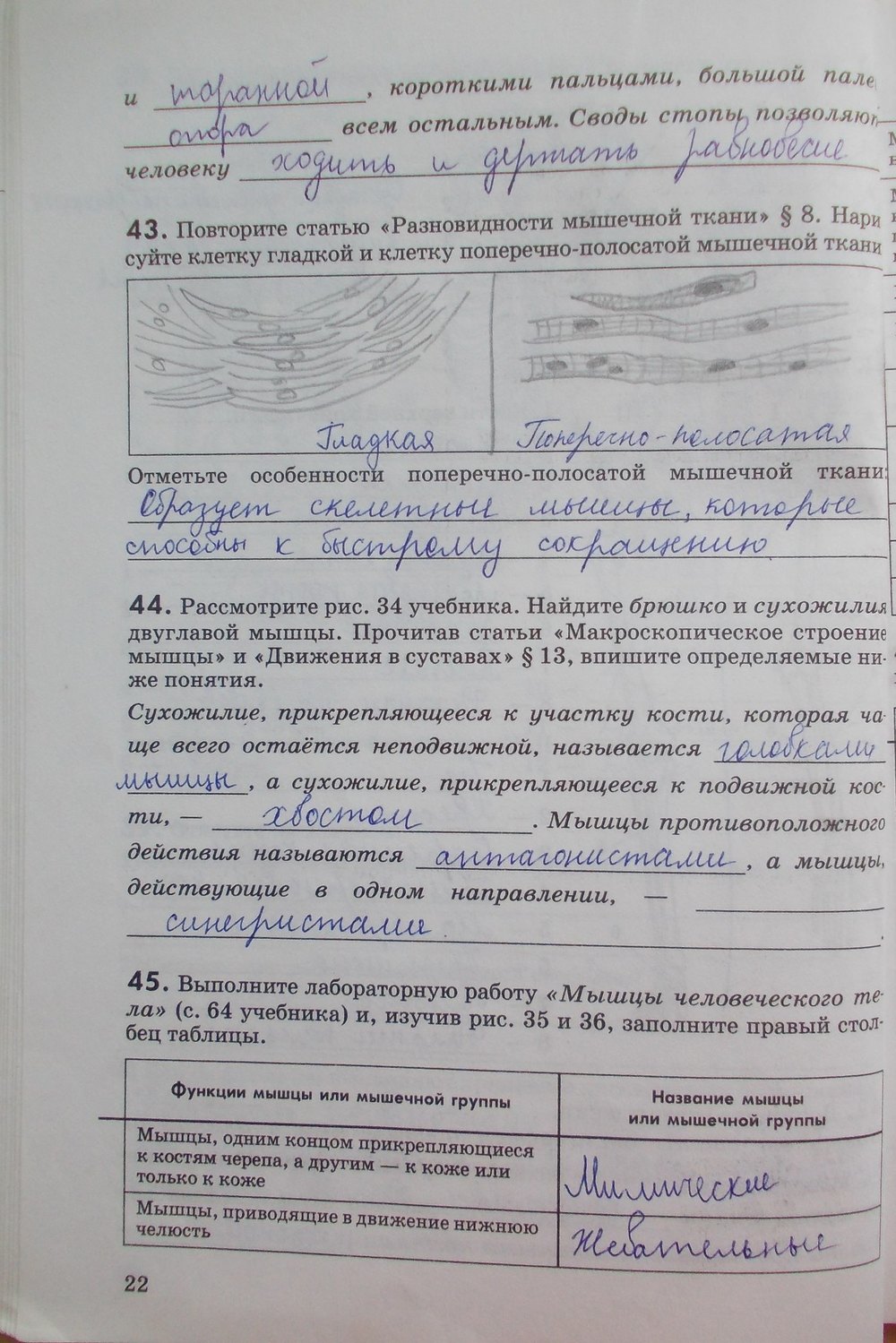 Рабочая тетрадь, 8 класс, Колесов Д. В., Маш Р. Д., Беляев И. Н., 2011, задание: стр. 22