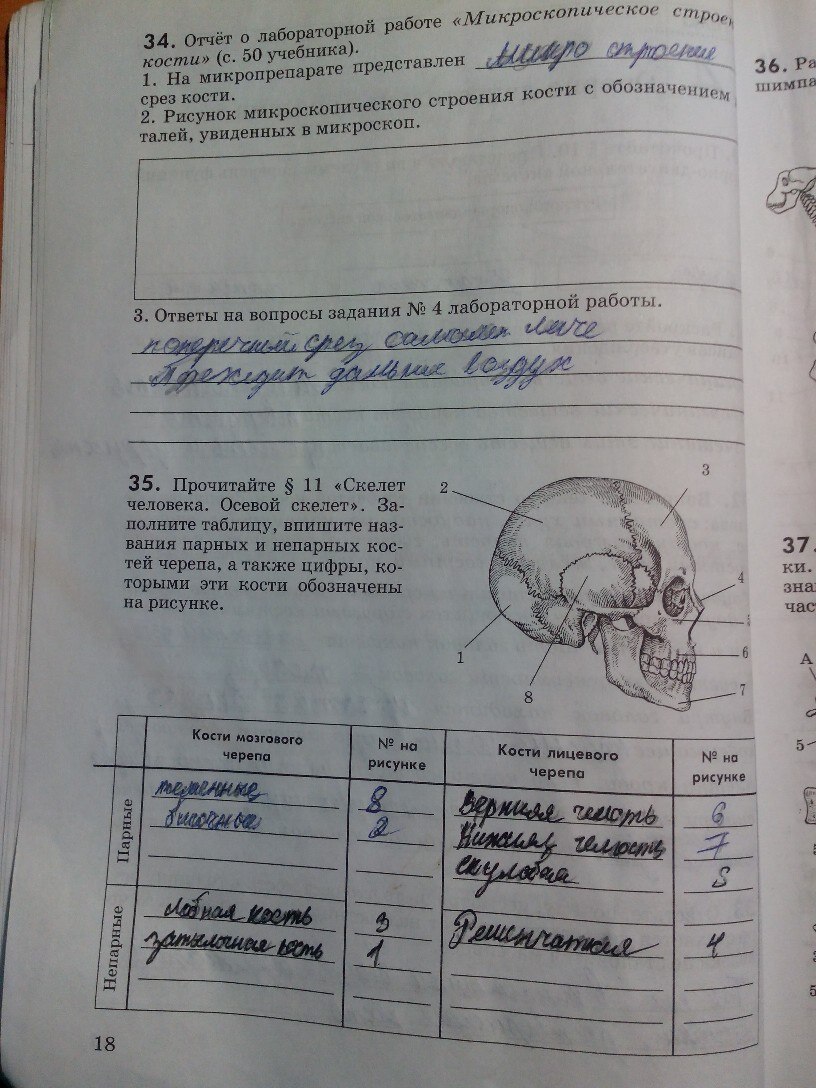 Рабочая тетрадь, 8 класс, Колесов Д.В., Маш Р.Д., Беляев И.Н., 2014, задание: стр. 18