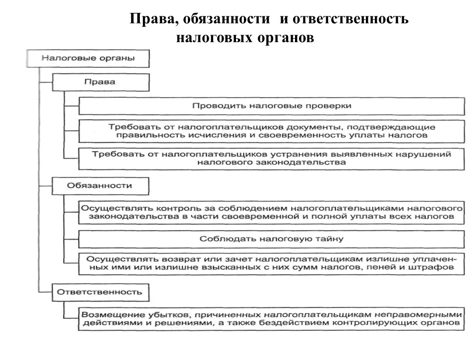 Теоретические основы налоговой системы Российской Федерации