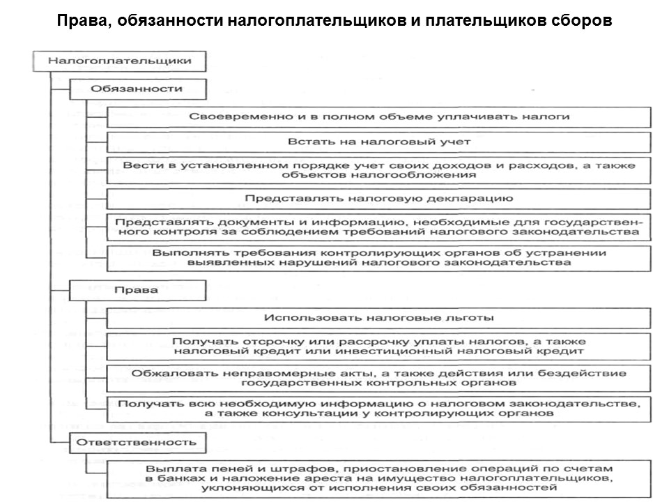 Теоретические основы налоговой системы Российской Федерации