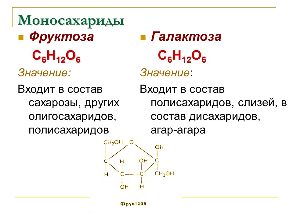 Углеводы Строение и функции