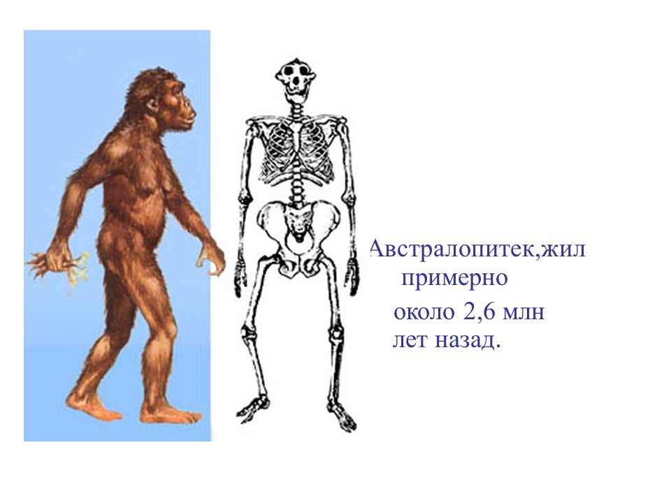 История Казахстана жизнь древнейших людей