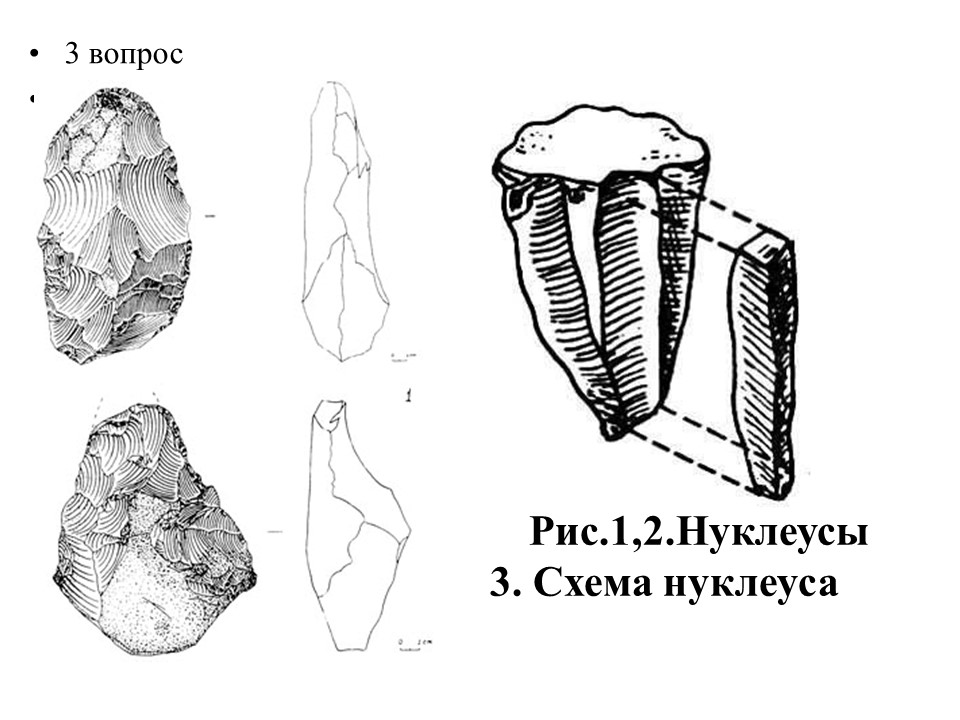 История Казахстана жизнь древнейших людей