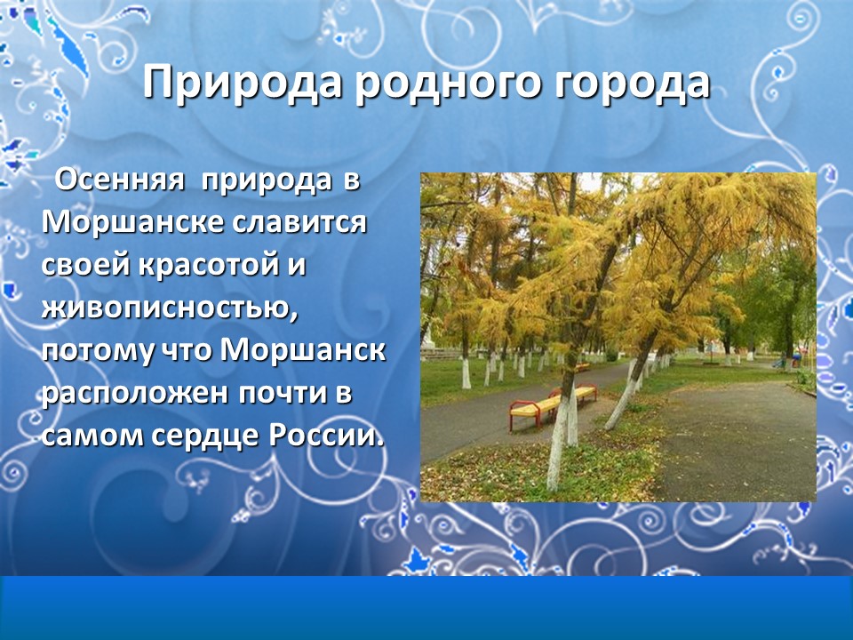 Природа в городе книга. Природа в городе рассказ. Рассказ природа в городе 1. Природа нашего города рассказ. Рассказ о природе моего города.