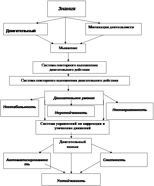 Схема формирования двигательного навыка. Формирование двигательных умений и навыков.