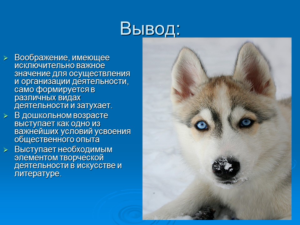 Исключительно важны. Воображение вывод. Воображение заключение. Вывод на тему воображение. Заключение на тему воображение.